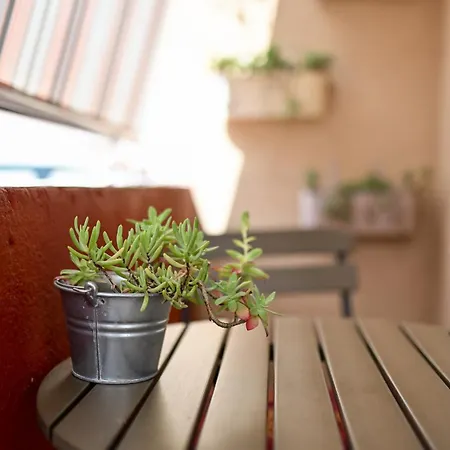 Near Center With Free Parking And Air Condition In Each Apartment